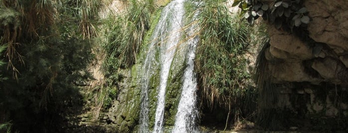 Ein Gedi Nature Reserve is one of Scenery at the southern part of Israel.