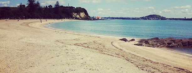 Mission Bay is one of Auckland's Best Beaches.