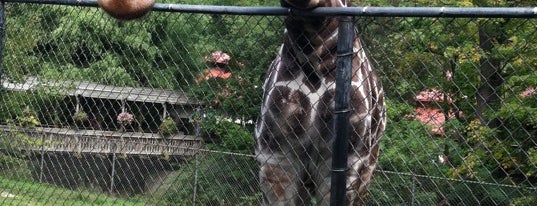 Erie Zoo is one of VisitErie Must-See's & Stops.