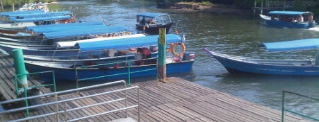 Mangrove Island Tour is one of Langkawi trip.