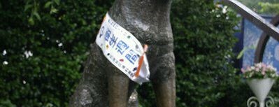 Estatua de Hachiko is one of Giappone 2009.