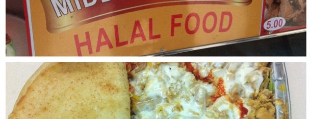 halal food cart is one of nyc.