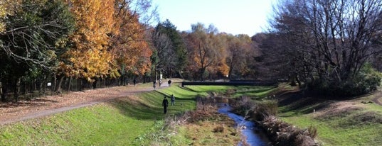 Nogawa Park is one of My favorites for Parks.