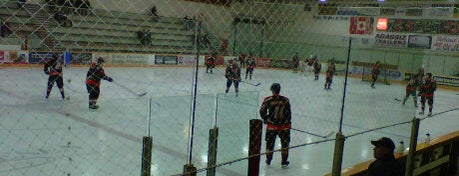 Winkler Arena is one of Hockey Rinks/Arenas I've Played In.