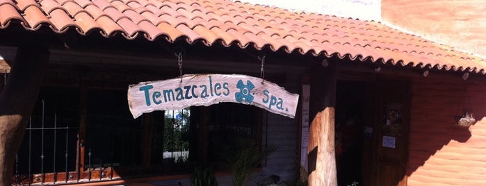 Yolihuani Temazcales & Spa is one of Viva Aguascalientes.