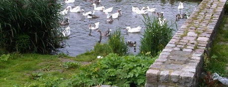 Park Transwijk is one of Parken in Utrecht.