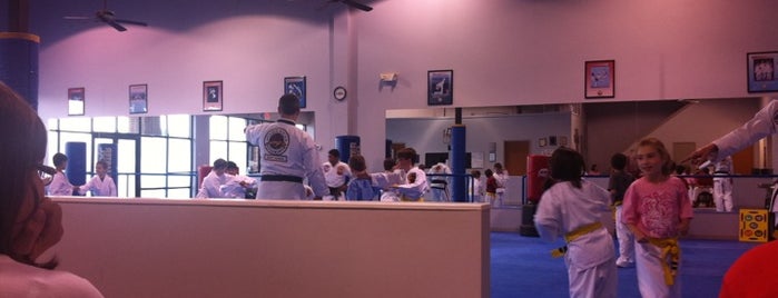 Rodgers' Taekwondo Academy is one of Dave : понравившиеся места.