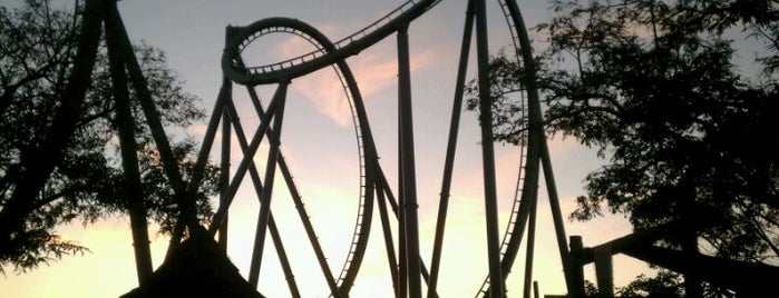 The Incredible Hulk Coaster is one of Florida Trip '12.