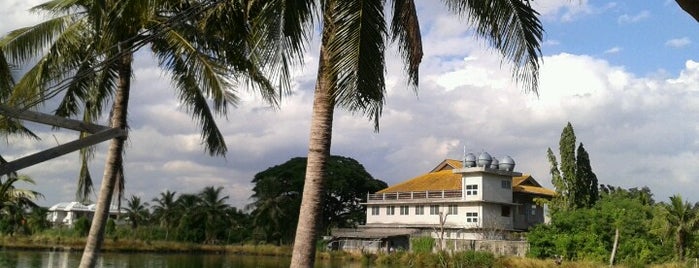 Cho Mamuang Fishing Park is one of Steal.