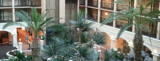 Four Points by Sheraton Suites Tampa Airport Westshore is one of Orte, die Dennis gefallen.
