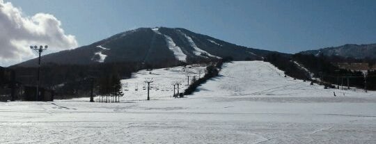 東北のスキー場