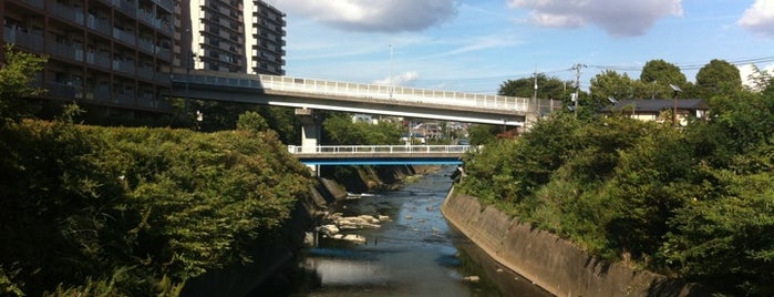鶴峰橋 is one of 帷子川に架かる橋と周辺の公園・史跡.