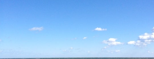 Montauk Point State Park is one of Hamptons beaches.