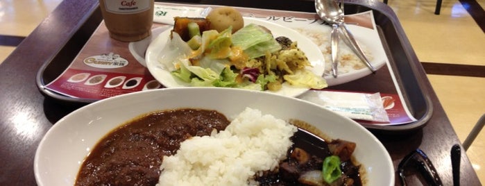 ロイヤルホスト カレー専門店 Curry 家族 is one of TOKYO-TOYO-CURRY.