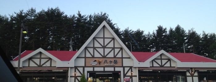 八ヶ岳PA (下り) is one of 中央自動車道.