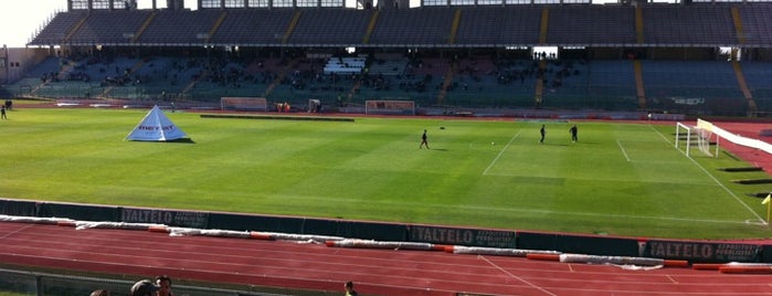 Stadio Euganeo is one of Padova.