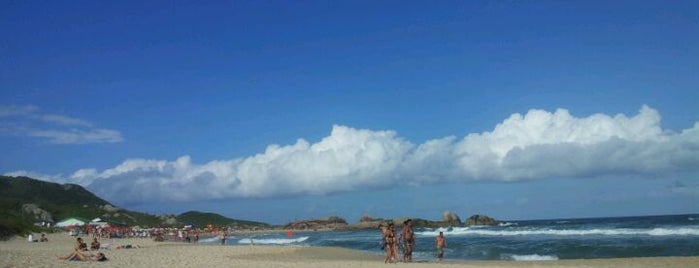 Praia Mole is one of Highlights Brazil.