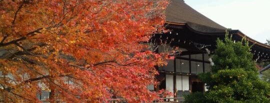 Daikaku-ji Temple is one of 京都の定番スポット　Famous sightseeing spots in Kyoto.