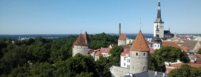 Вышгород is one of Lovely Tallin.