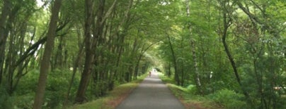 Minuteman Commuter Bikeway is one of Lieux qui ont plu à Brendan.