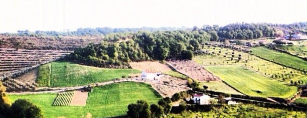 Lapedona is one of Ancient Villages in The Marches.