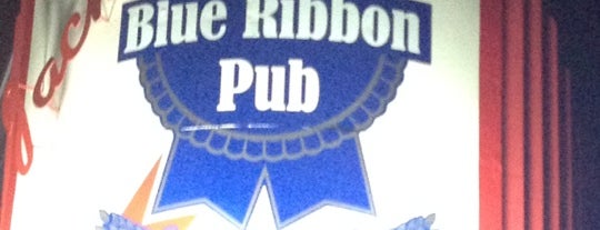 Jackson's Blue Ribbon Pub is one of Grab a Bite NOW food reviews.
