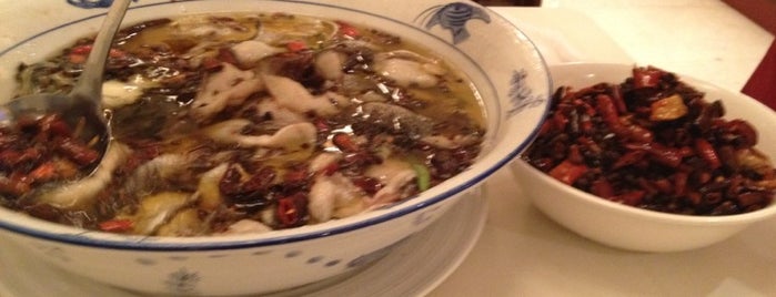 Yuxin Sichuan Dish is one of A week in Shanghai.