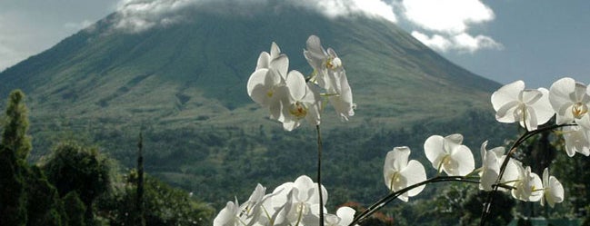 Gunung Lokon is one of City of Flower Tomohon.