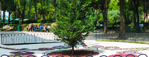 Árbol de la Fraternidad is one of El Campus del Ajedrez - "Soy Tec Orígenes".