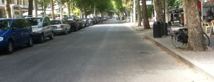 Viale Roma is one of Light Blue Summer.