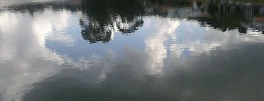 Lago do Orfeu is one of Posti che sono piaciuti a Steinway.