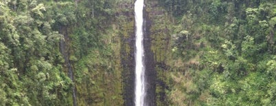 Akaka Falls State Park is one of Living Aloha ❣️ Big Island.