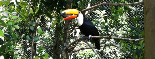 Gramado Zoo is one of Pontos Turísticos - Serra Gaúcha.