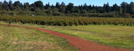 Larsen Lake Blueberry Farm is one of Ahmad🌵さんの保存済みスポット.