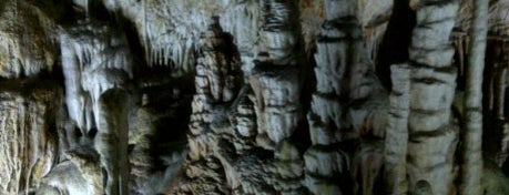 Coves de Campanet is one of Tour Caves.