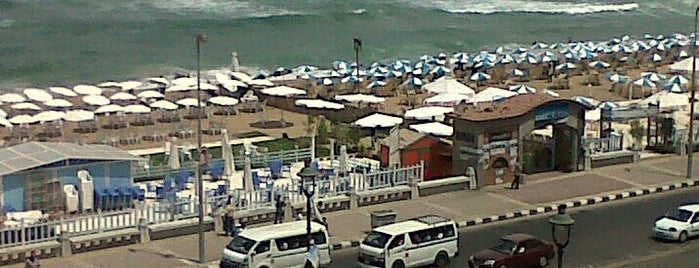 Corniche is one of No One Sleeps at Alexandria.