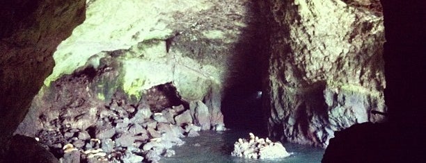 Sea Lion Caves is one of Off the Beaten Path Places to Visit the World Over.