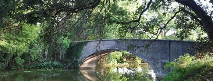 Audubon Park is one of New Orleans To-Do List.
