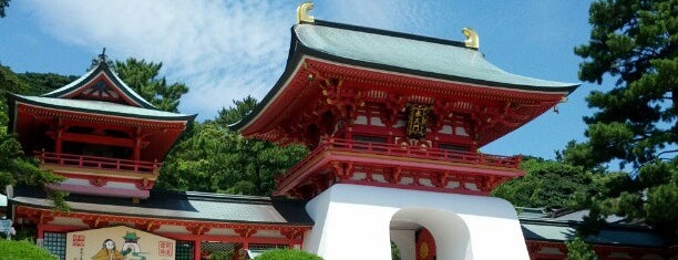 Akama Jingu Shrine is one of STU48(山口ver.).