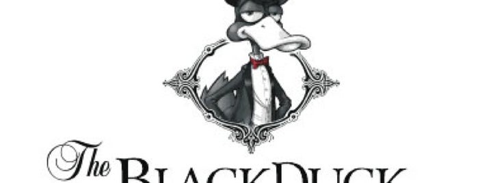 Black Duck Multiplarte is one of non smoking.