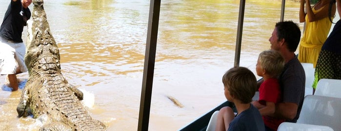 Jose's Crocodile River Tour is one of Top 10 places to try this season.