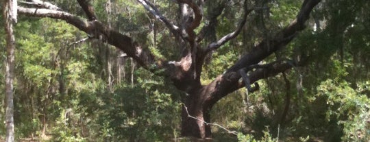 Jacksonville Arboretum & Gardens is one of Places I want to visit~.