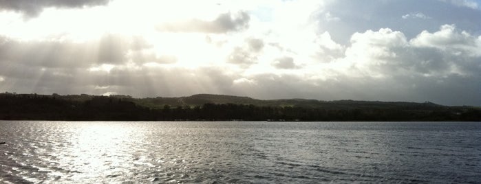 Castle Semple Visitor Centre is one of Scottish Castles.