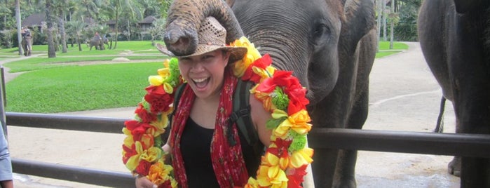 Elephant Safari Park is one of INDONESIA Best of the Best #1: The Nature.
