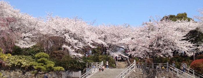 Asukayama Park is one of Orte, die Masahiro gefallen.
