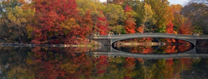 Bow Bridge is one of When i go to New York.