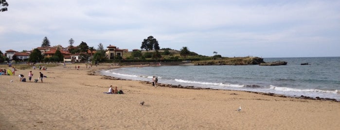 Playa de La Isla is one of Playas de España: Principado de Asturias.