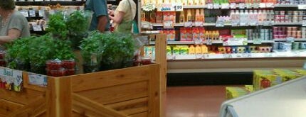 Trader Joe's is one of Grocers.
