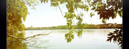 Picnic Point is one of Study break spots.