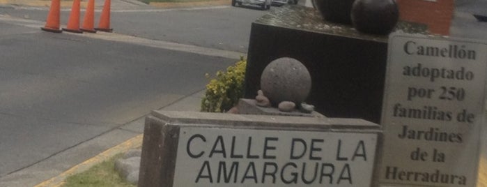 Calle de la amargura is one of Lieux qui ont plu à Mariana.